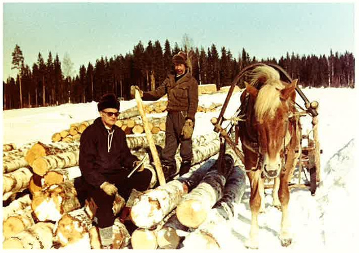 Maivalan metsätyömies